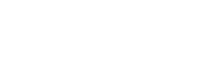 logo petro.pl